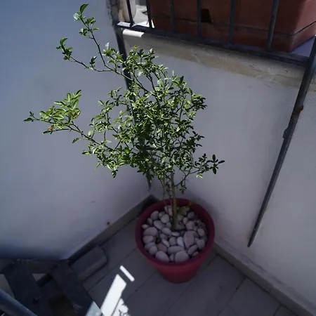 Casa Delle Rondini Apartment *